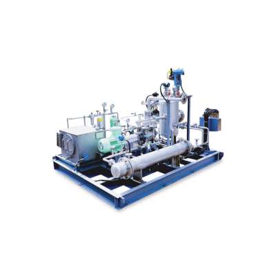 LR1D Series Liquid Ring Pump